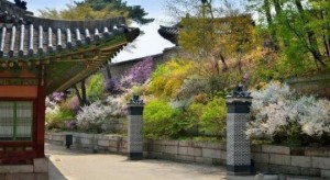 春までもう少し‼今から計画したい観光もお花見も韓国らしさも楽しめる韓国ソウルのお勧めポットをご紹介します♪