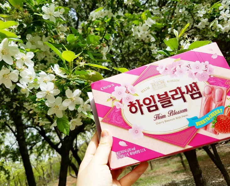 桜の季節にはこのおやつを！韓国のコンビニで楽しむ桜デザート大集合