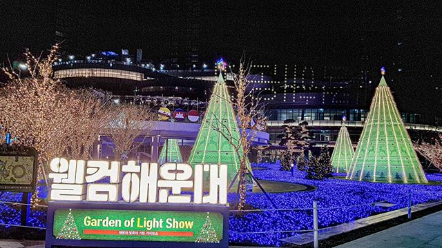 2019年12月ガーデンライトショー　画像