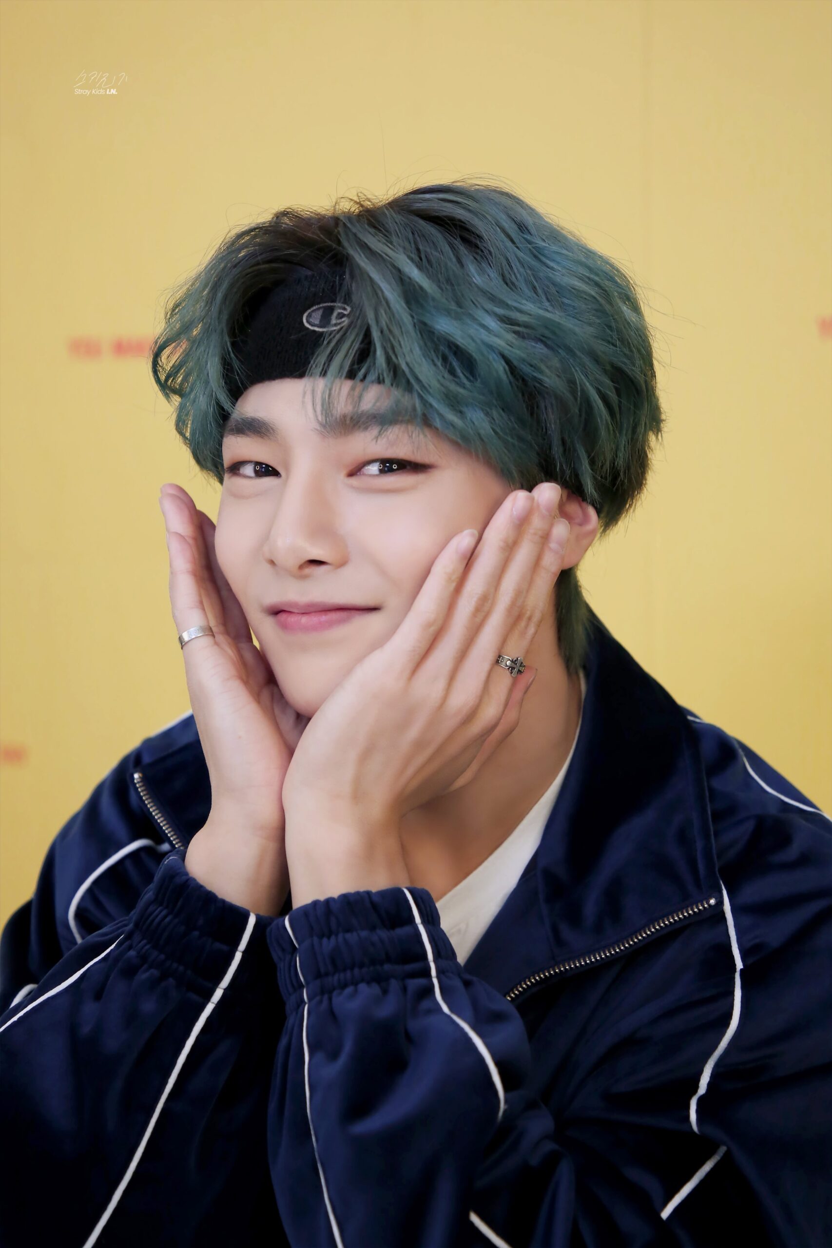 スキズ アイエン イエニ ハイタッチ券 TOP stray kids スキズTOP ハイタッチ券アイエンI.N イエニ