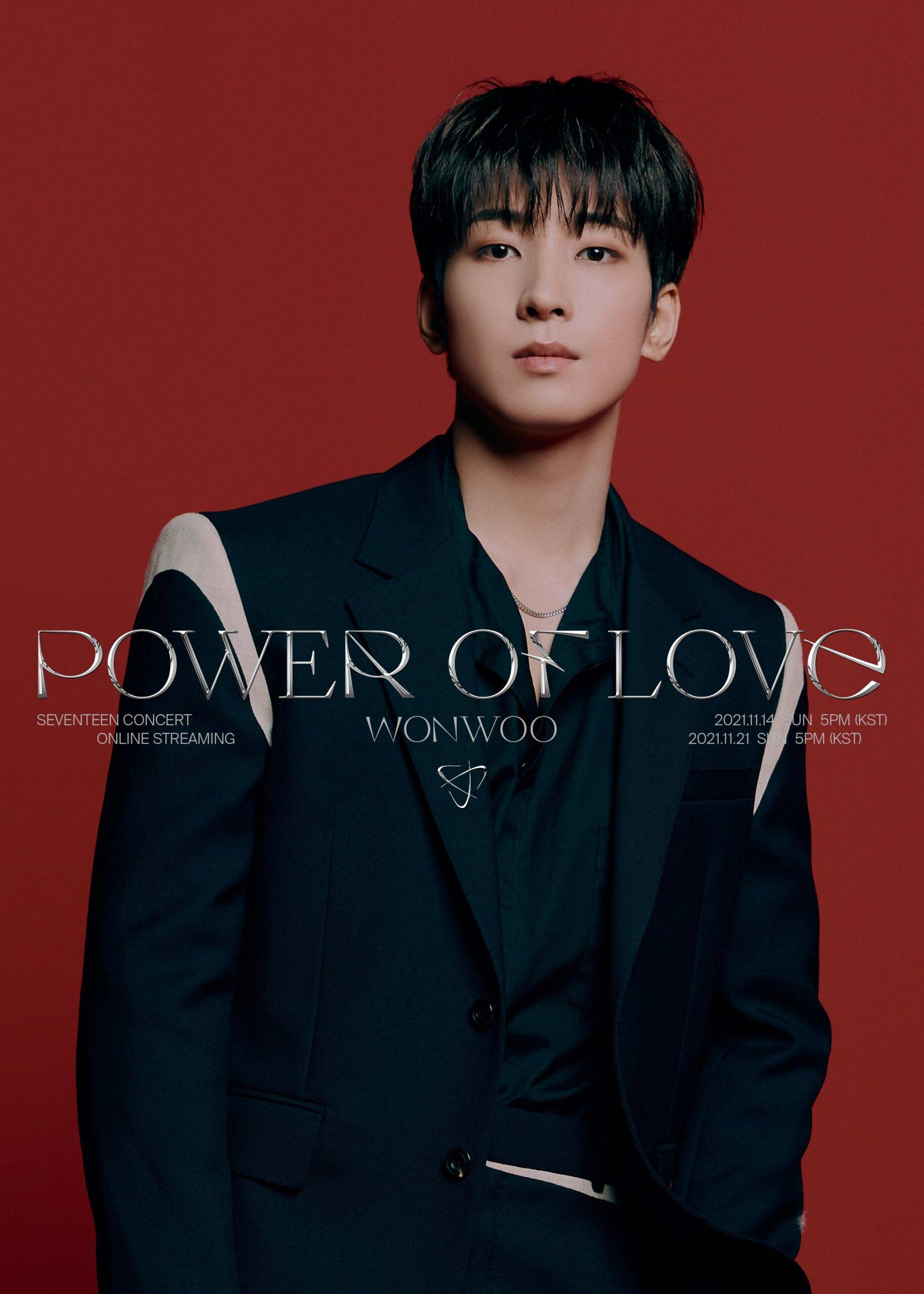 seventeen ウォヌ