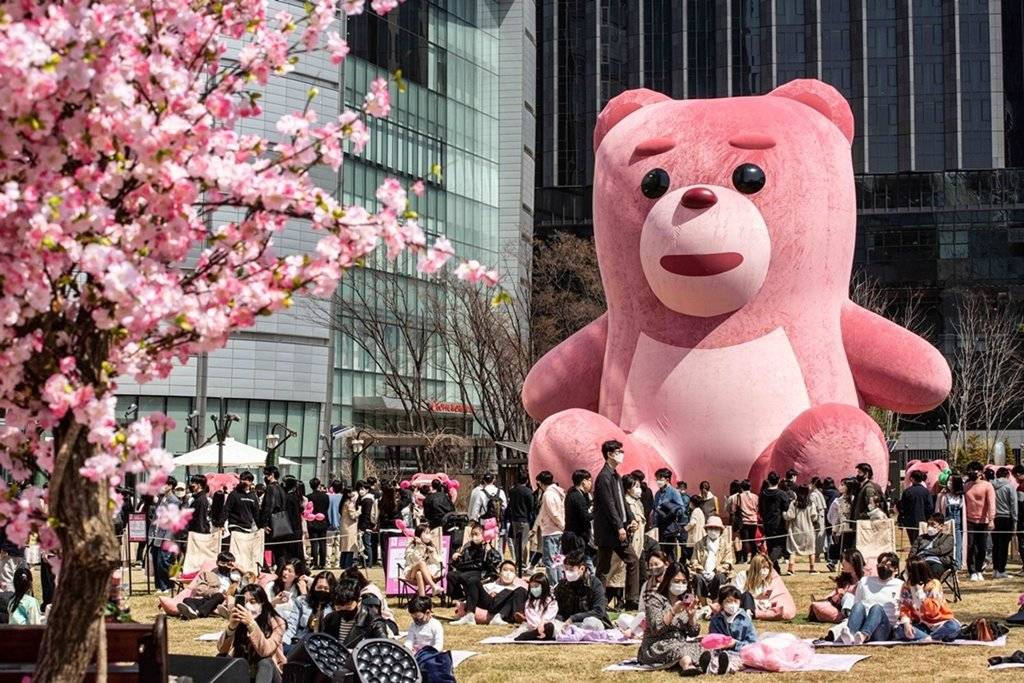 韓国の人気キャラクター 벨리곰 ベリークマ って プロフィールや誕生秘話をご紹介 韓国情報メディア Kasioda カシオダ