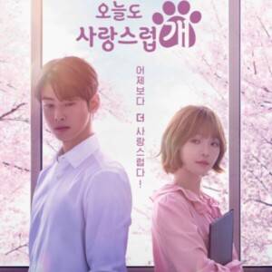 【チャ・ウヌ主演】韓国ドラマ『ワンダフルデイズ』のあらすじや見どころ、キャストをくわしくご紹介！