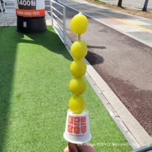 2024年韓国で絶対食べたいデザート「タンフル」!その人気と魅力に迫る!